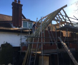 our experts extension work