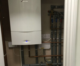 our hmo specialist work