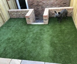 installed quality grass
