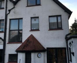 exterior view of the painted house